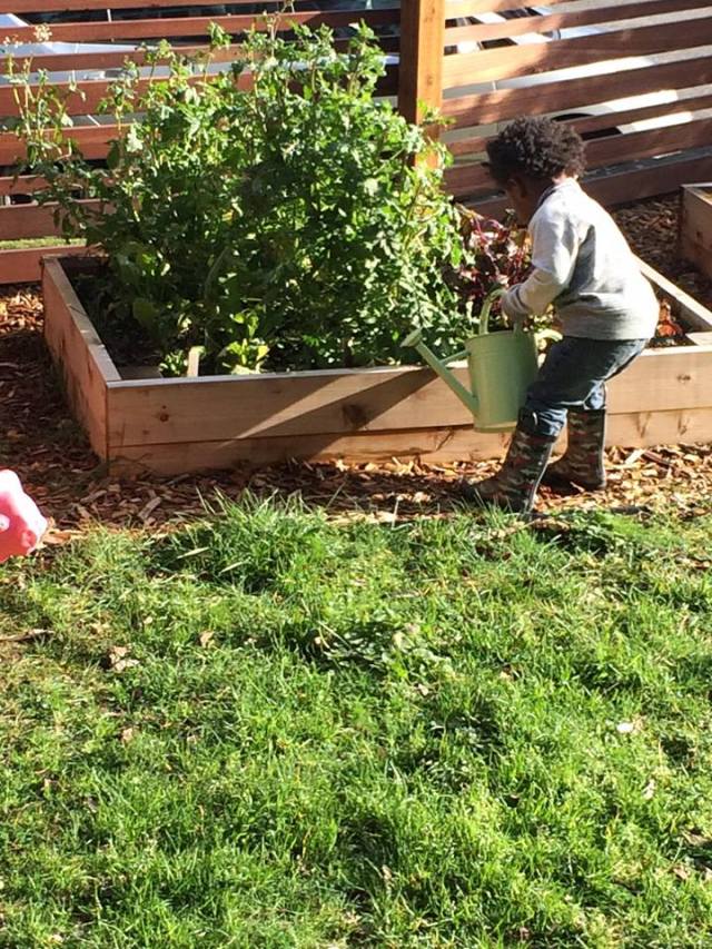 12575800_10153892683988126_13877135_n